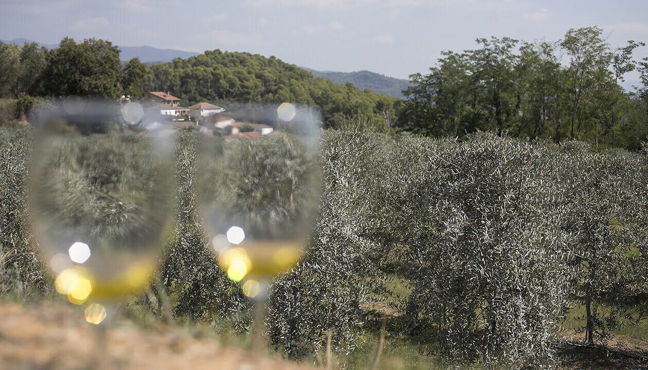 Photo of Outdoor in Bigues I Riells