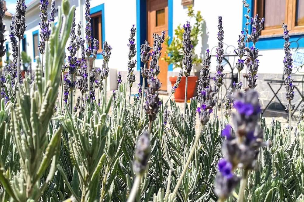 Photo of Outdoor in Barracao