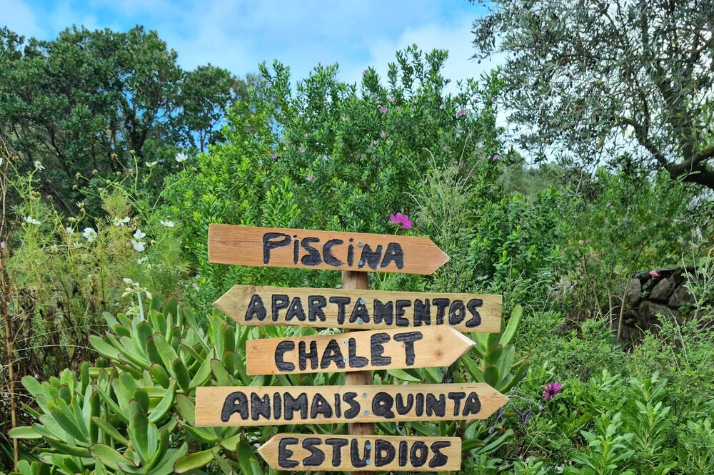 Photo of Outdoor in Barracao