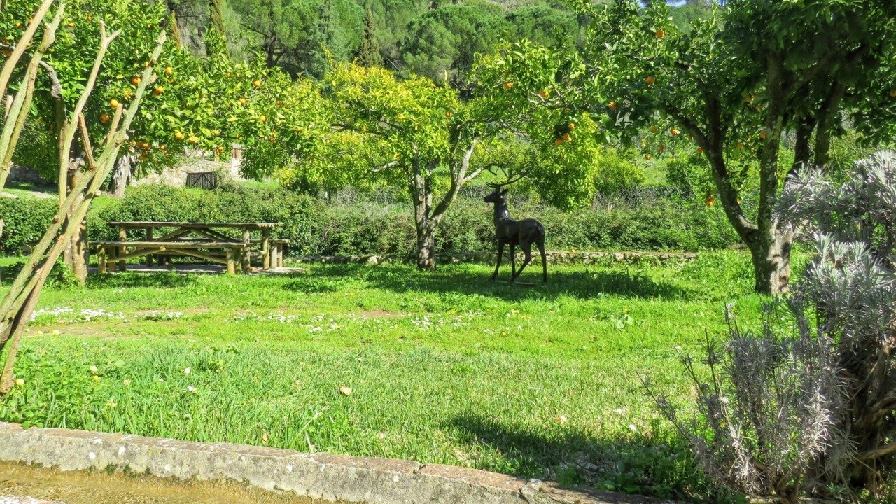 Photo of Others in Sao Joao Batista