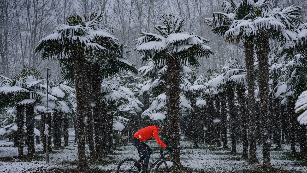 Photo of Outdoor in Eixample