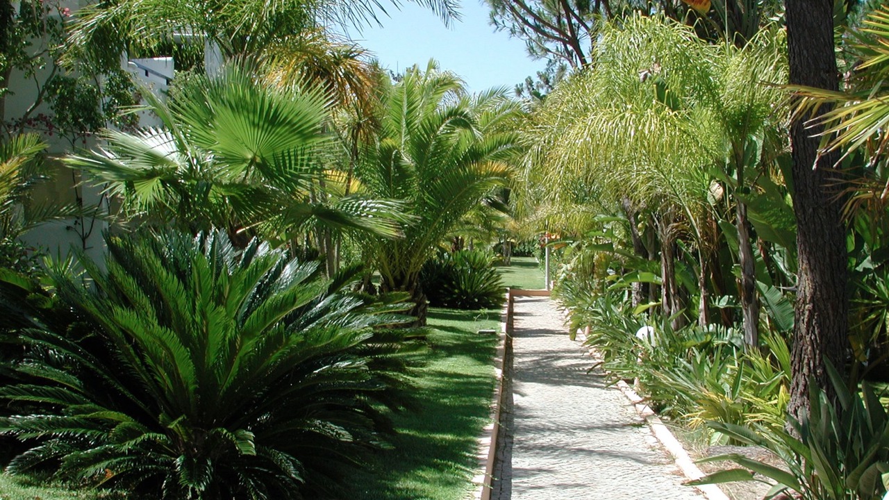 Photo of Outdoor in Vale do Garrao