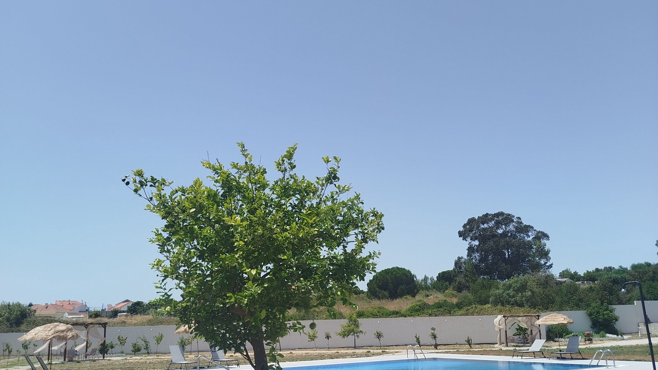 Photo of Outdoor in Funchalinho