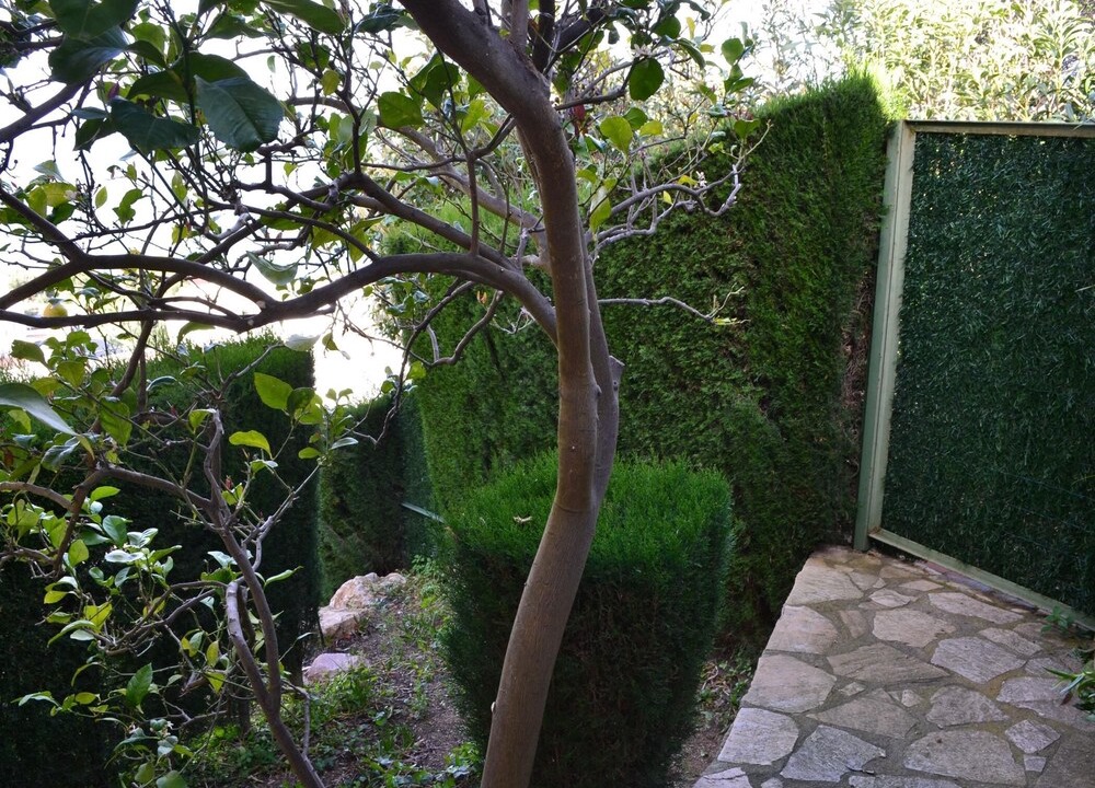 Photo of Outdoor in Llanca