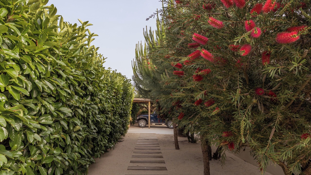 Photo of Outdoor in Troia