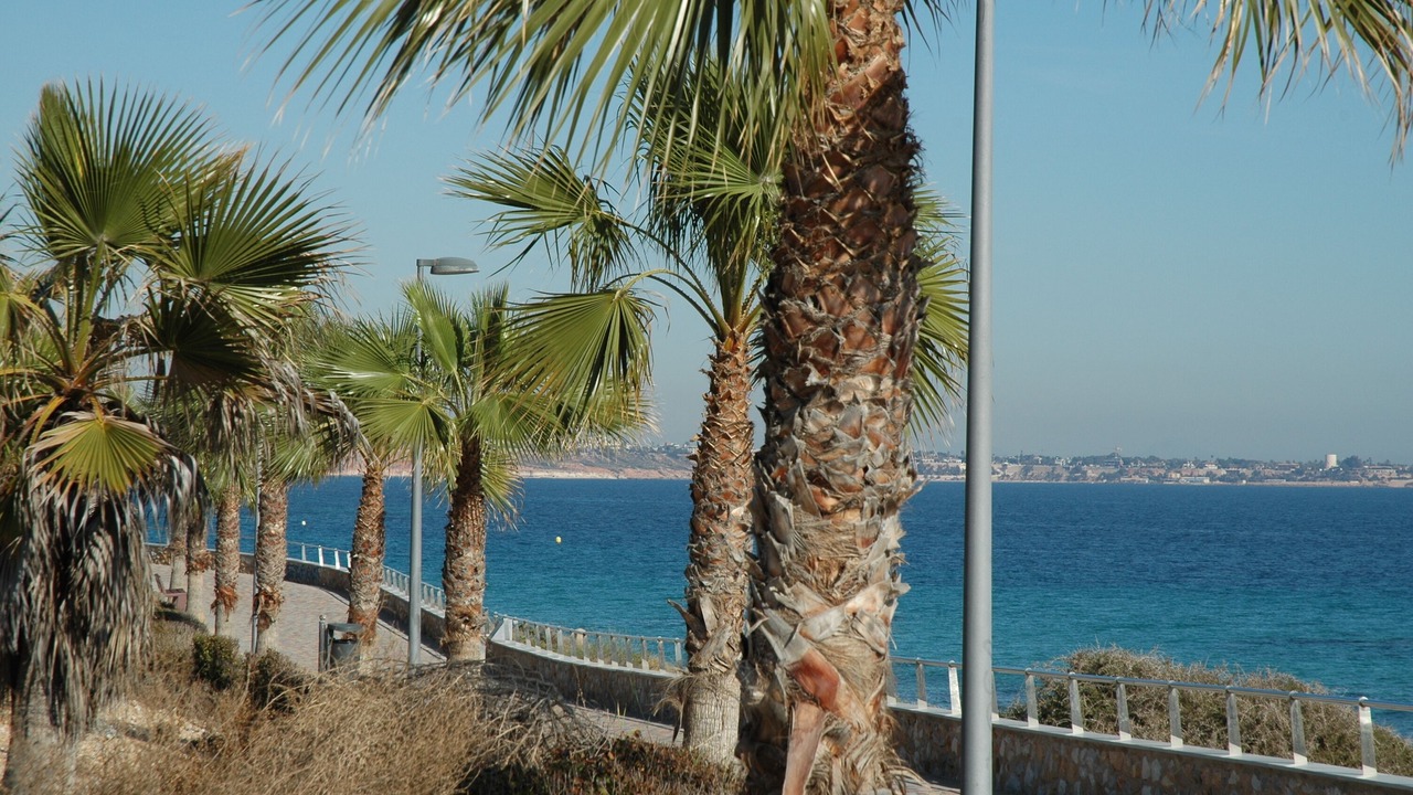 Photo of Outdoor in Torre de la Horadada