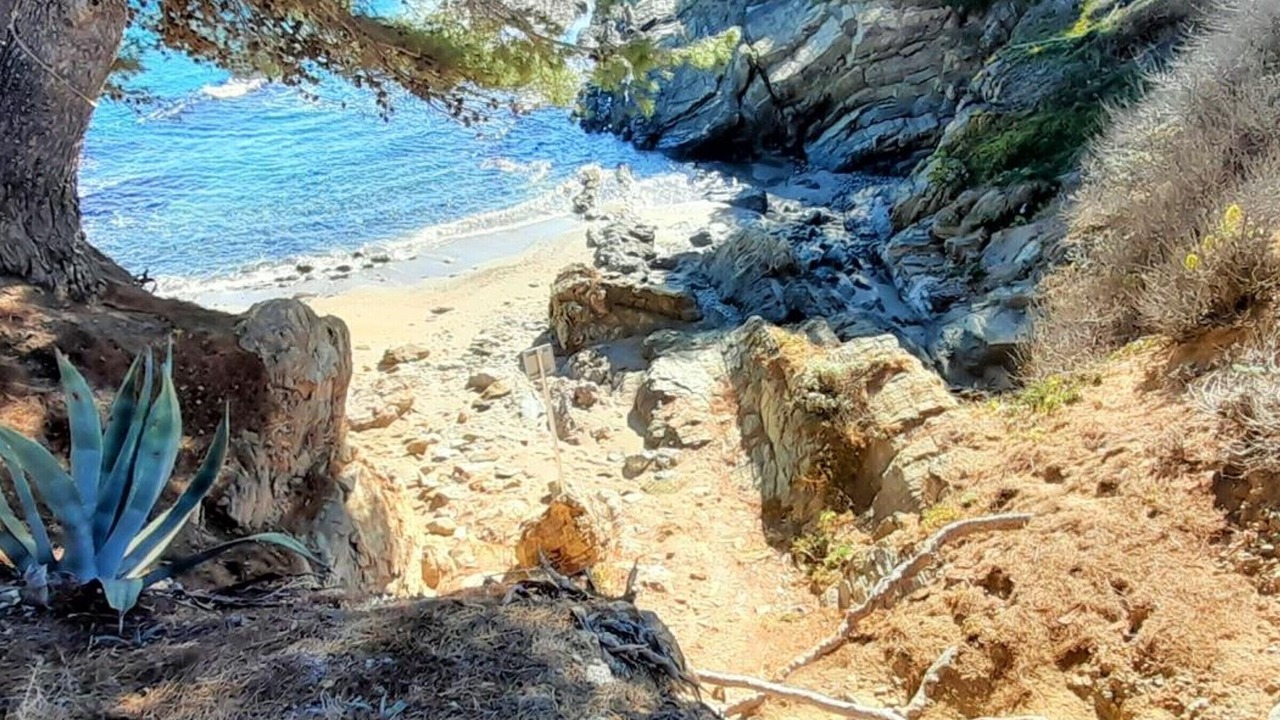 Photo of Others in Llanca