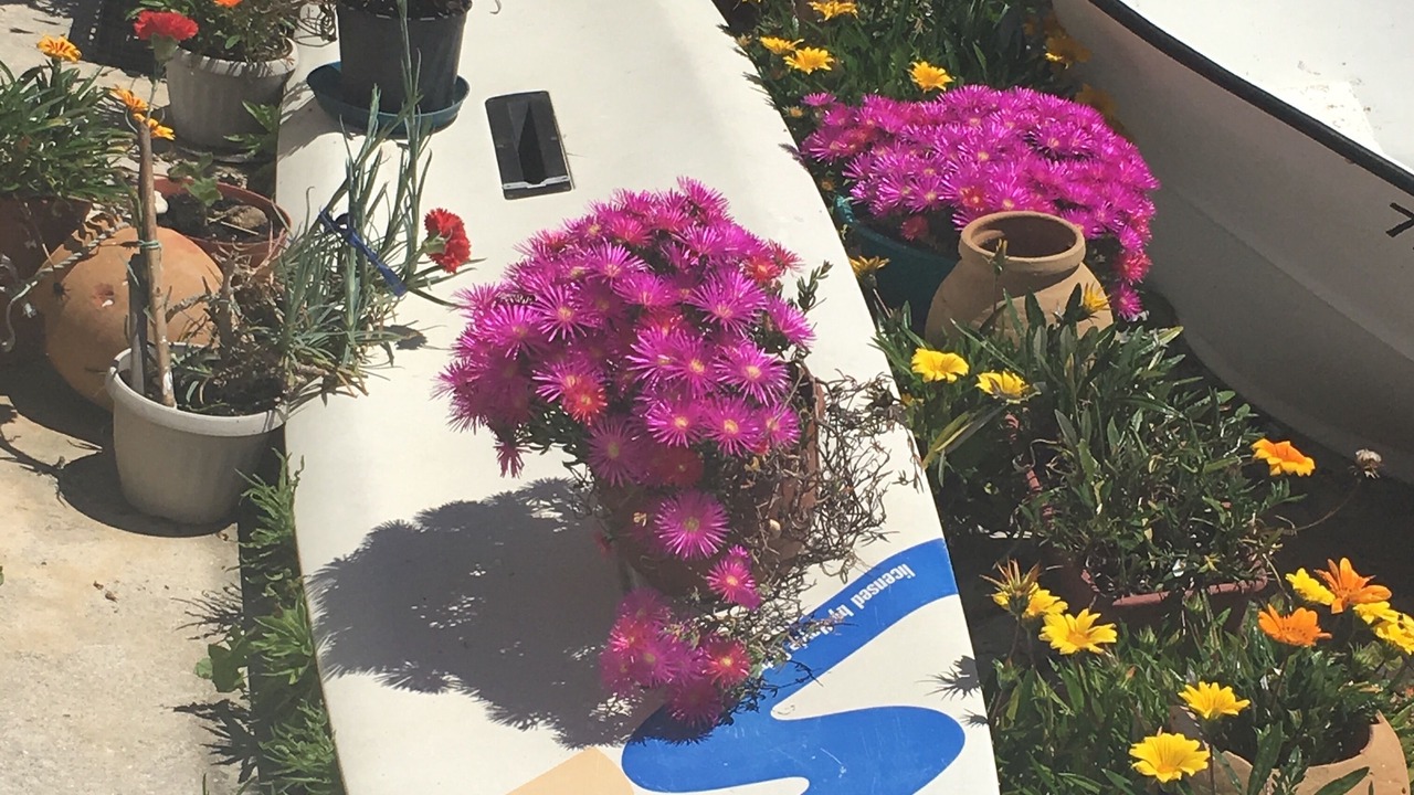 Photo of Outdoor in Burgau