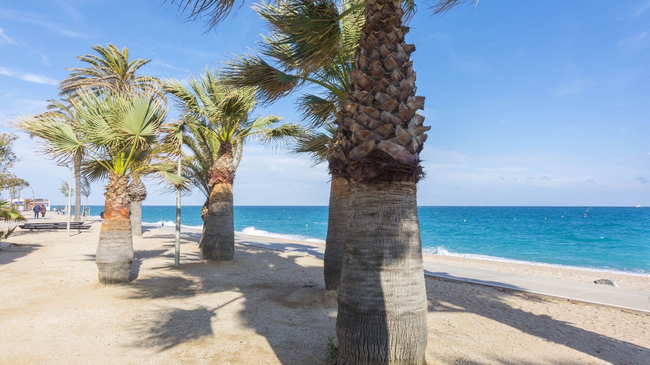 Photo of Others in Pineda de Mar