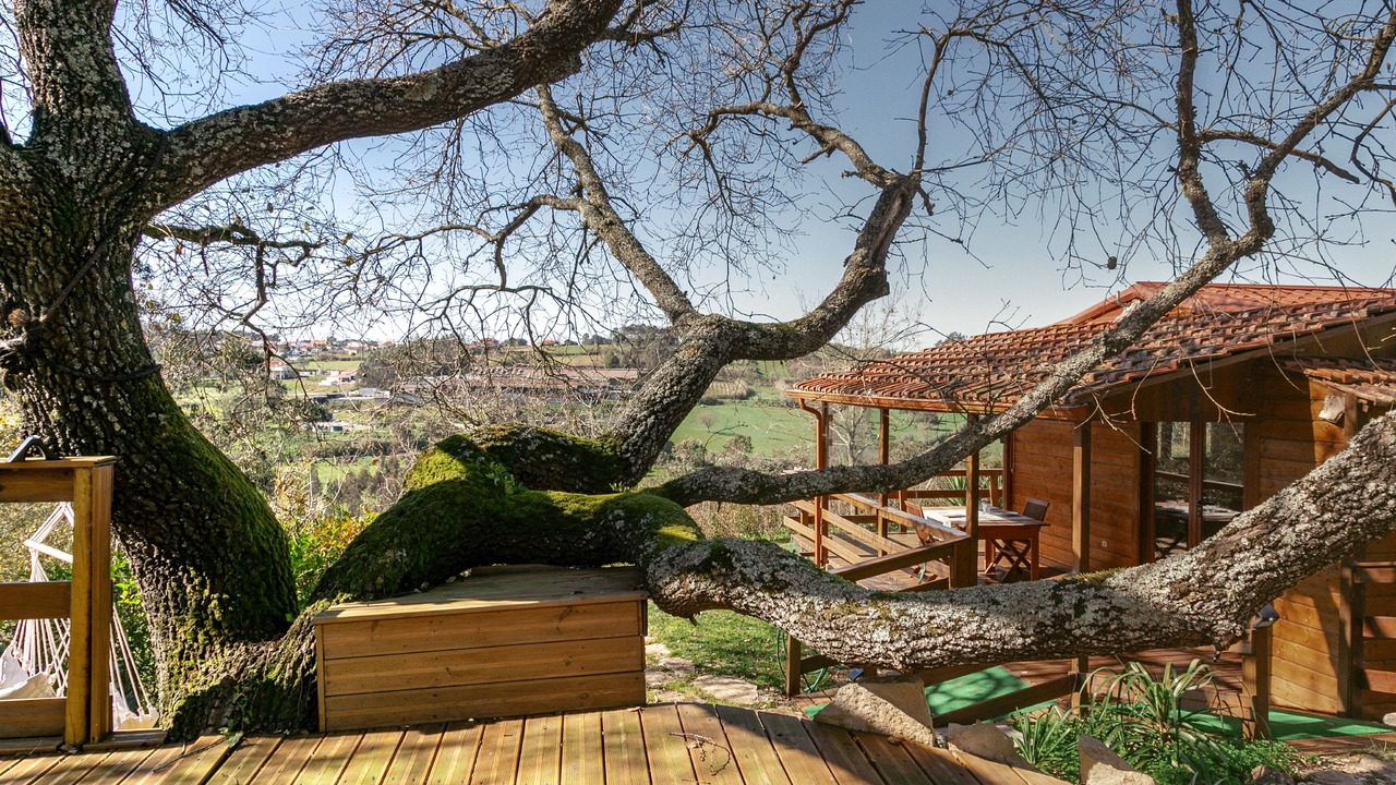 Photo of Outdoor in Alcobaca