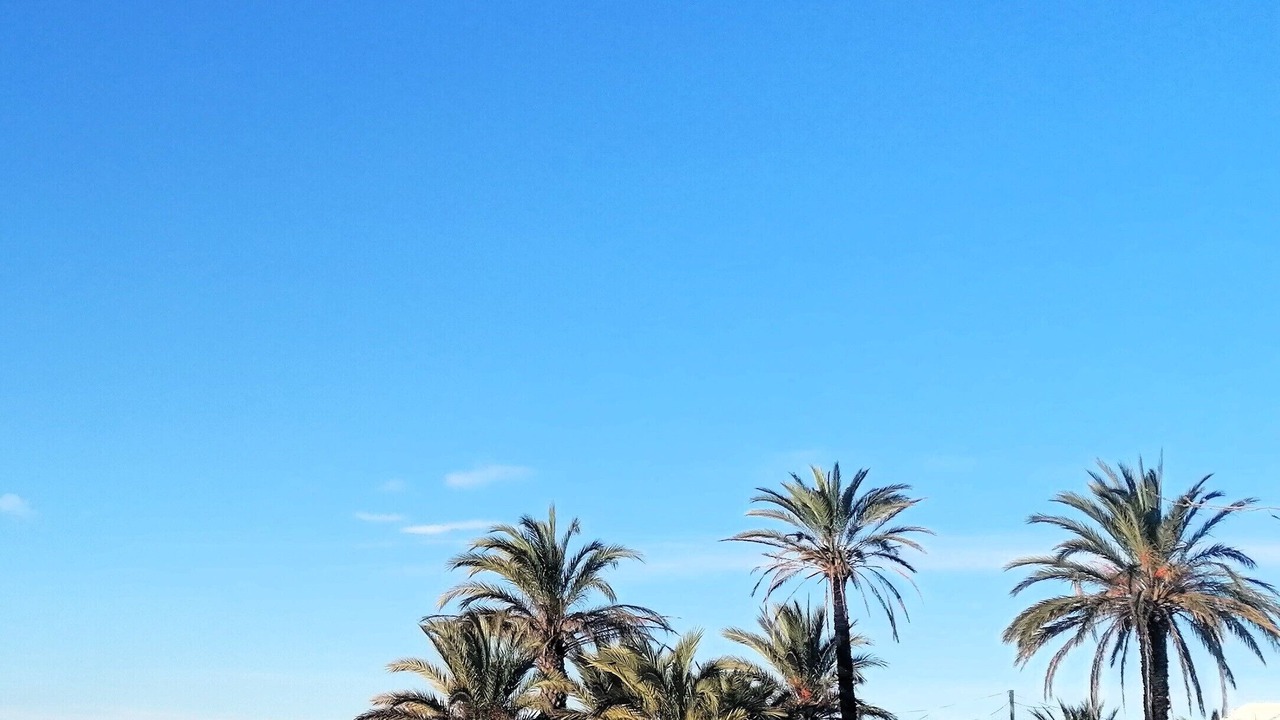 Photo of Others in El Mas Oliva