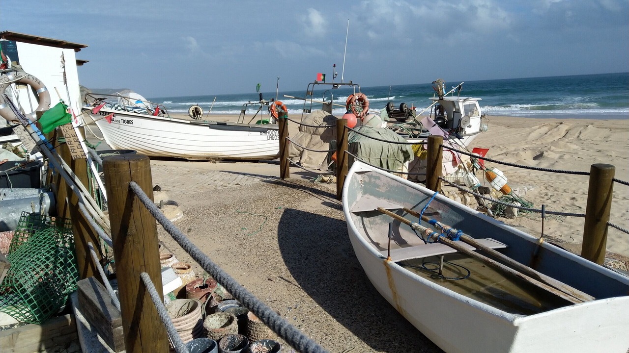 Photo of Others in Salema