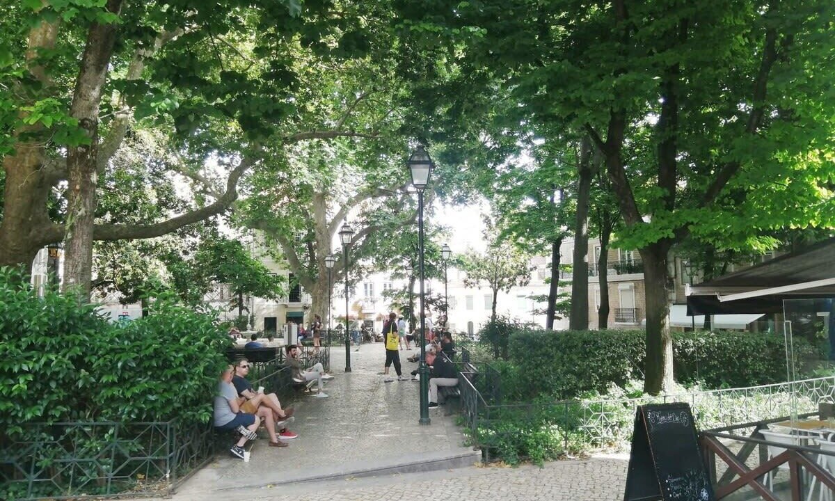 Photo of Others in Merces