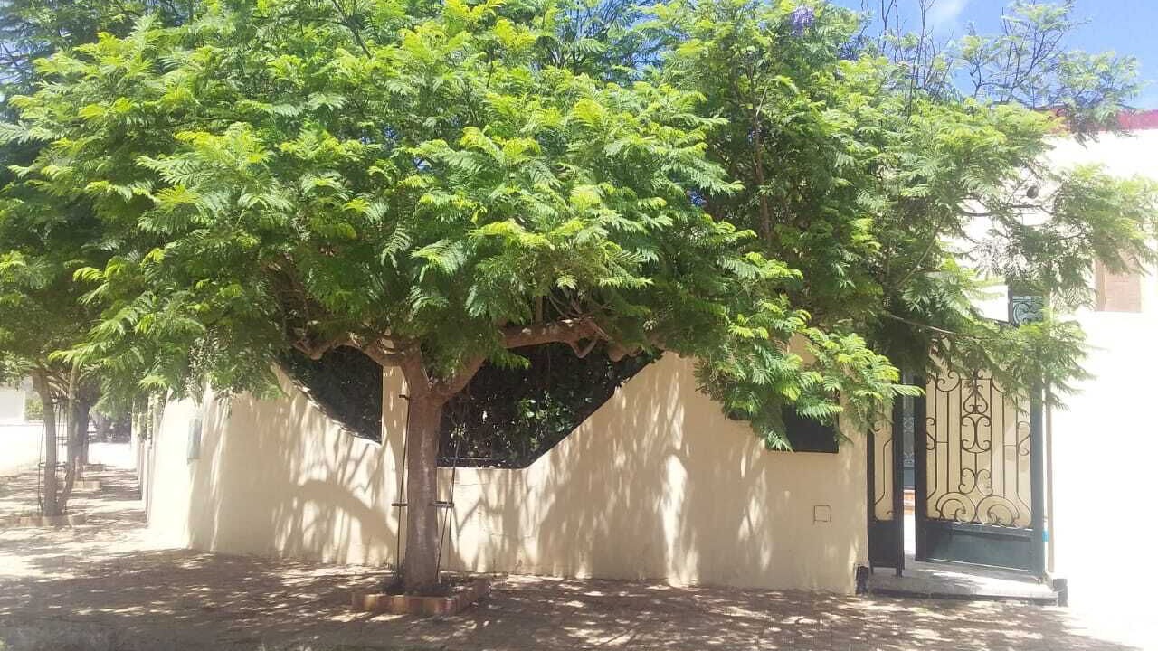 Photo of Outdoor in Sidi Bouzid
