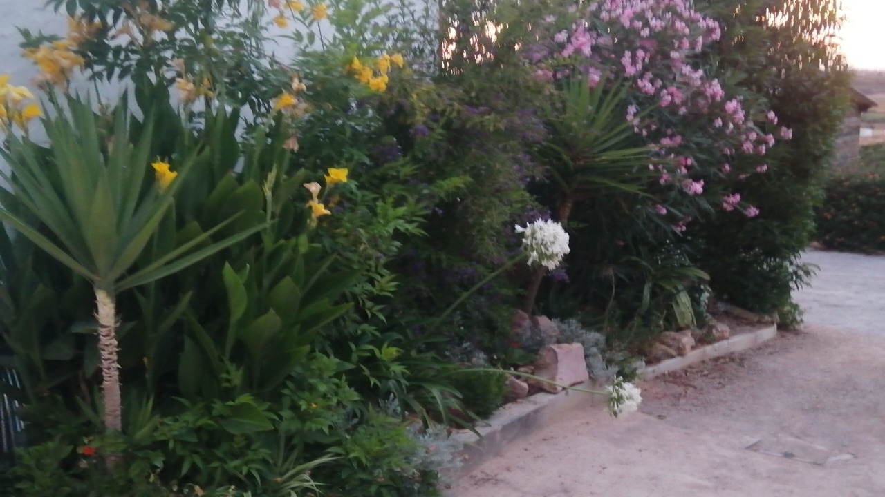 Photo of Outdoor in Porches