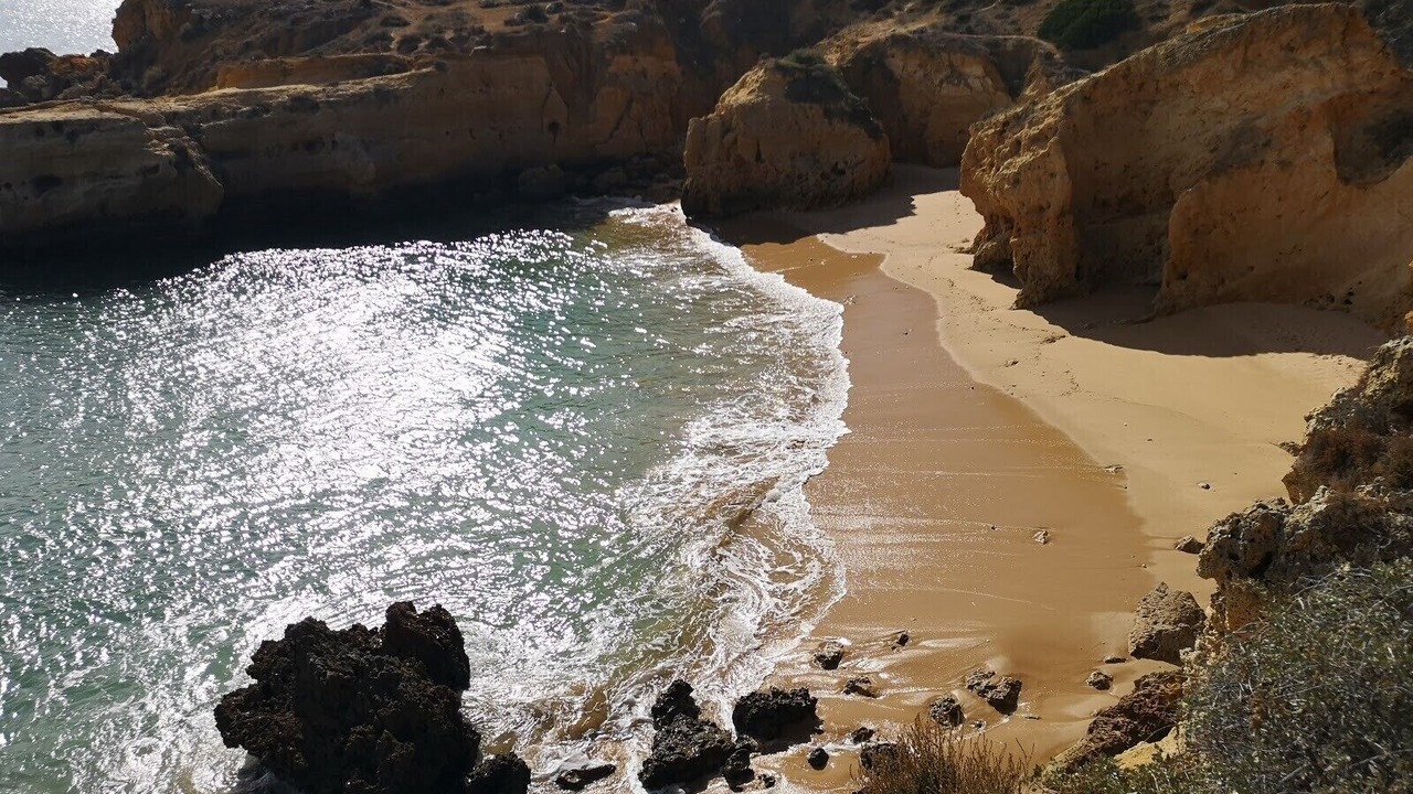 Photo of Others in Albufeira