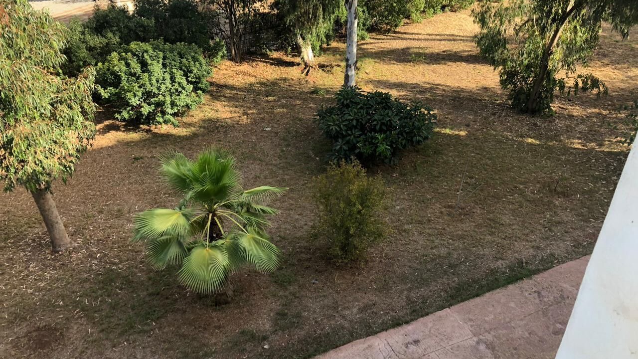 Photo of Outdoor in Casablanca