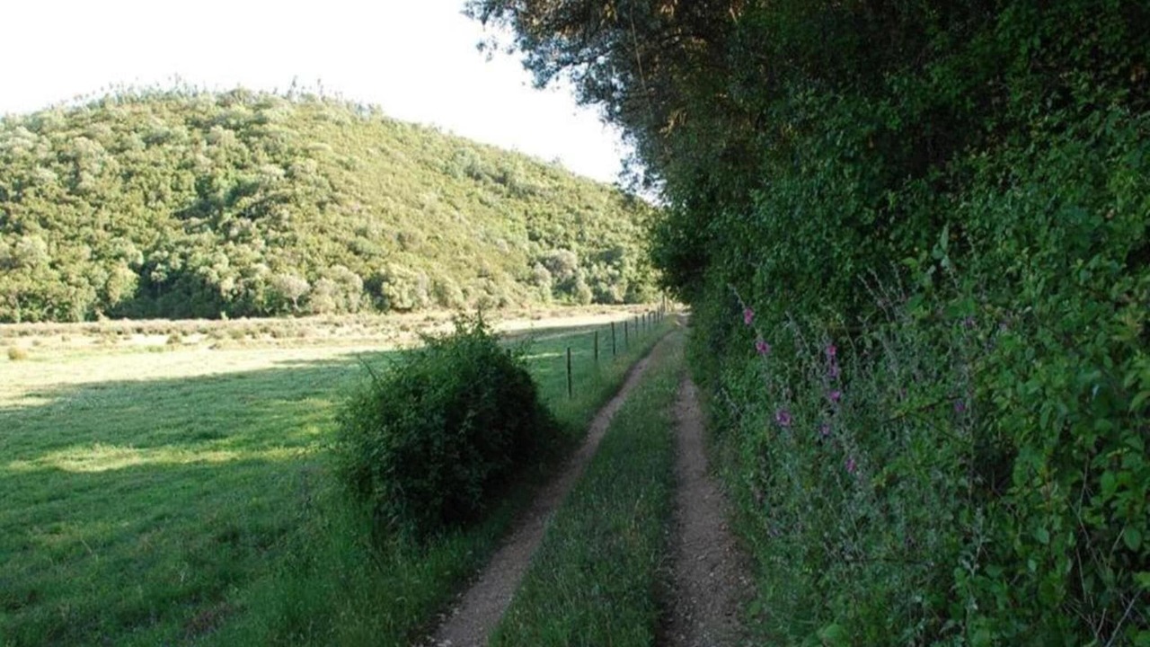 Photo of Others in Troviscais