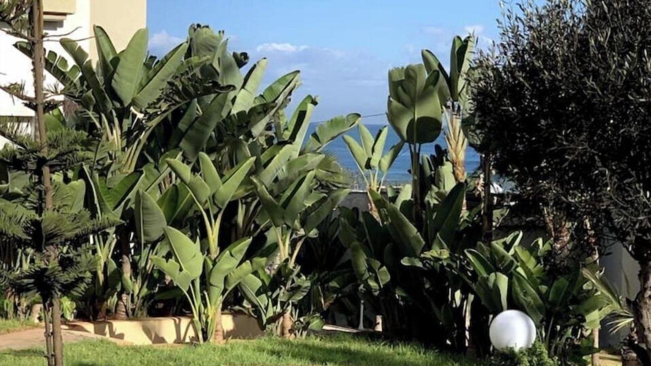 Photo of Outdoor in Tamariss