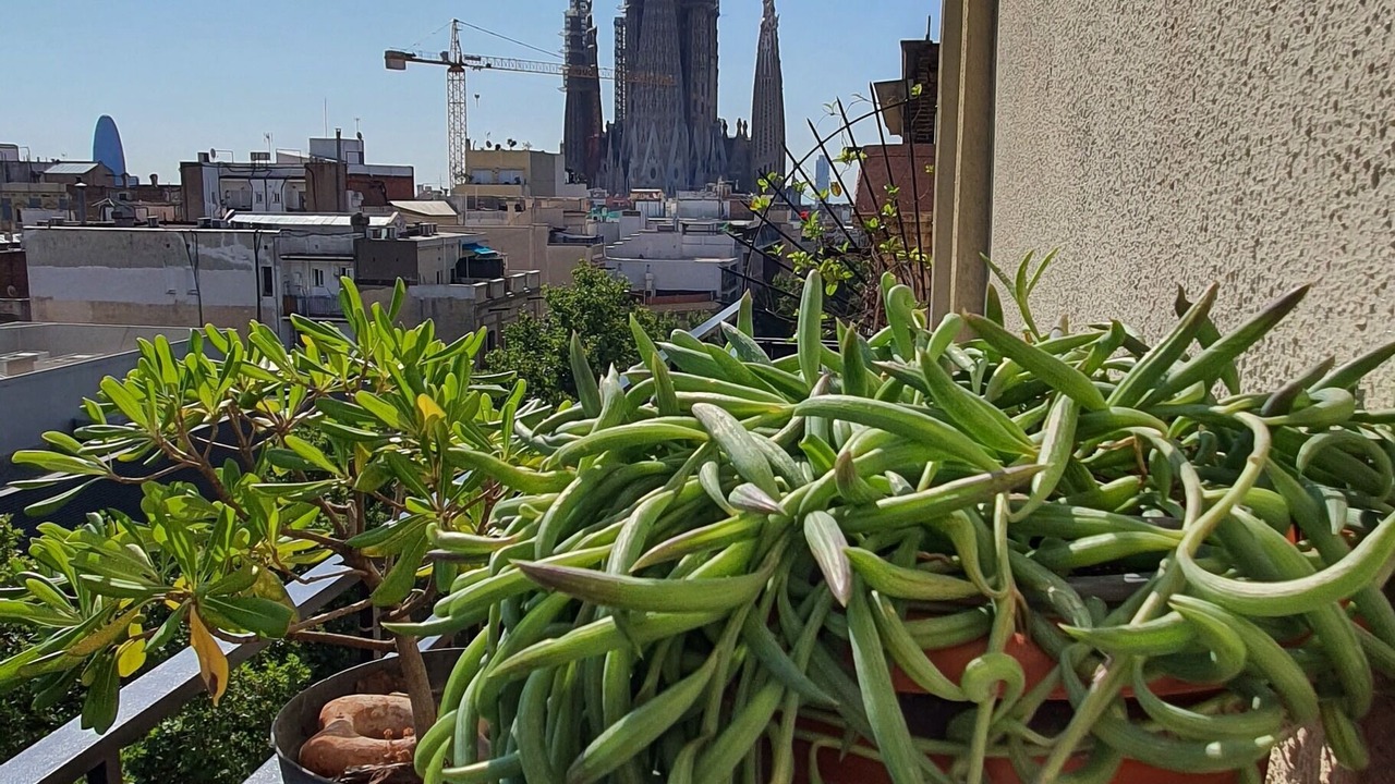 Photo of Outdoor in el Camp d'en Grassot i Gracia Nova