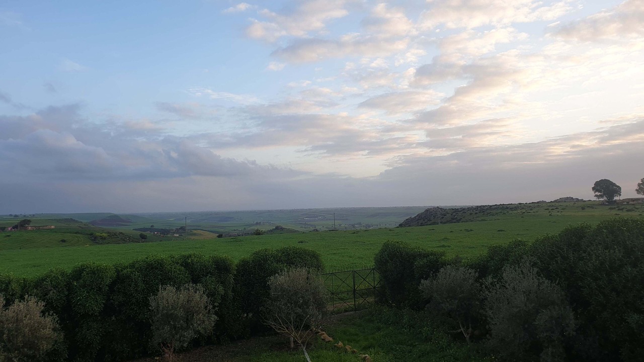 Photo of Outdoor in Ziaida