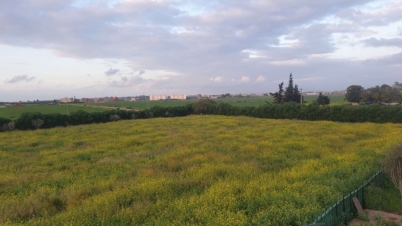 Photo of Outdoor in Ziaida