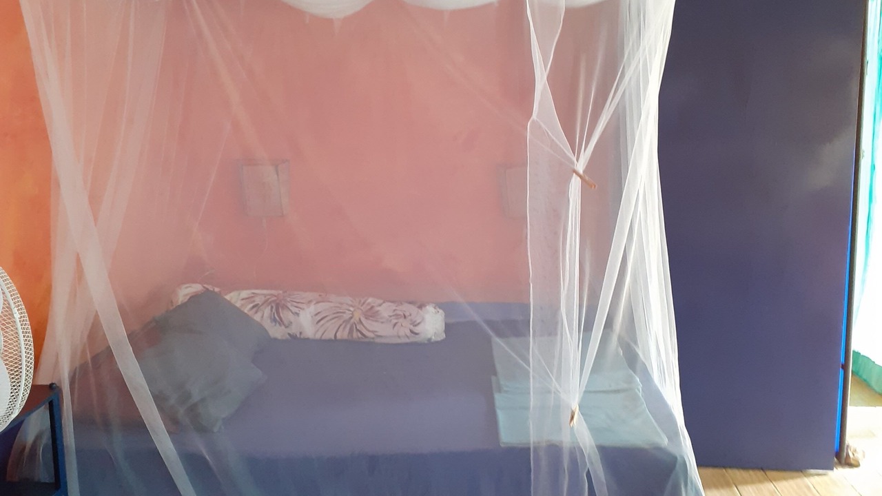 Photo of Bedroom in Fonte do Bispo