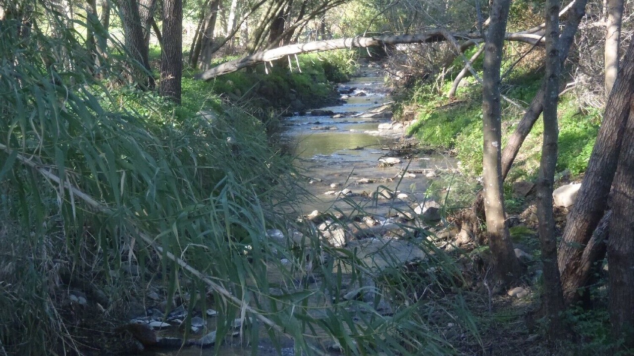 Photo of Outdoor in Barracao