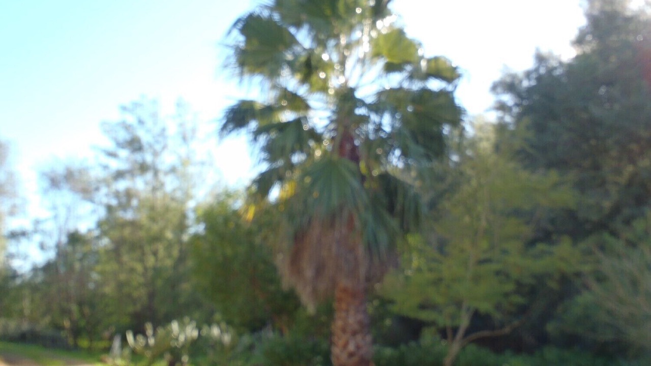Photo of Outdoor in Barracao