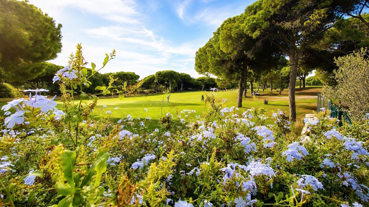Photo of Outdoor in Quarteira