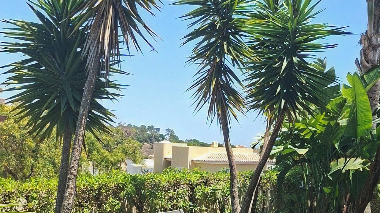 Photo of Outdoor in Albardeira