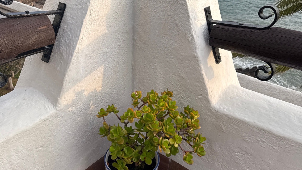 Photo of Outdoor in Vilanova I la Geltru