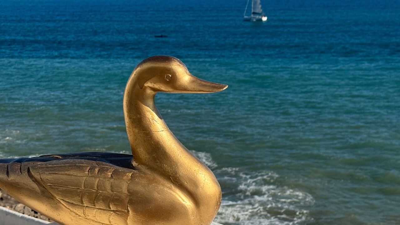 Photo of Others in Vilanova I la Geltru