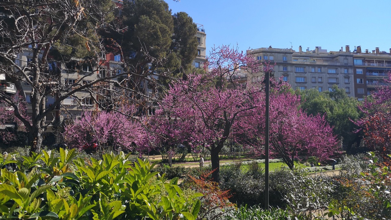Photo of Others in Sant Gervasi