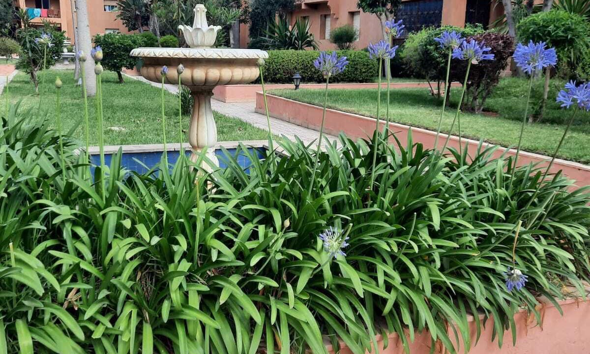 Photo of Outdoor in El Mansouria