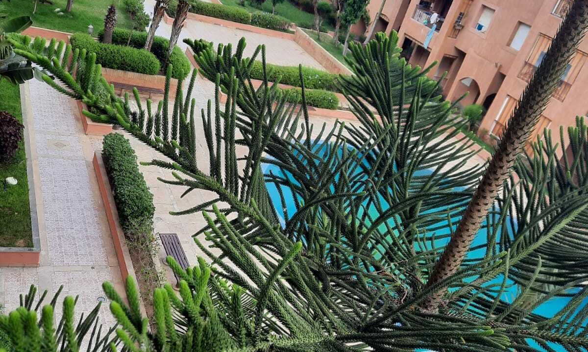 Photo of Outdoor in El Mansouria