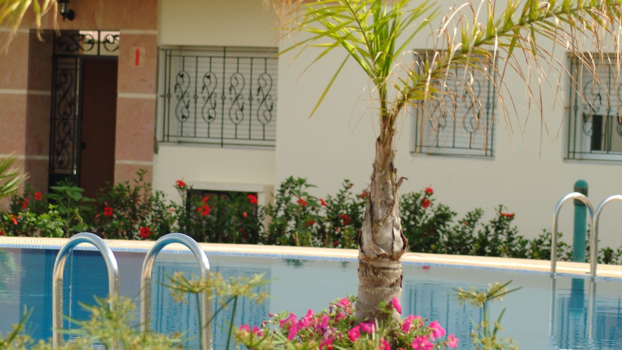 Photo of Outdoor in Pont Blondin