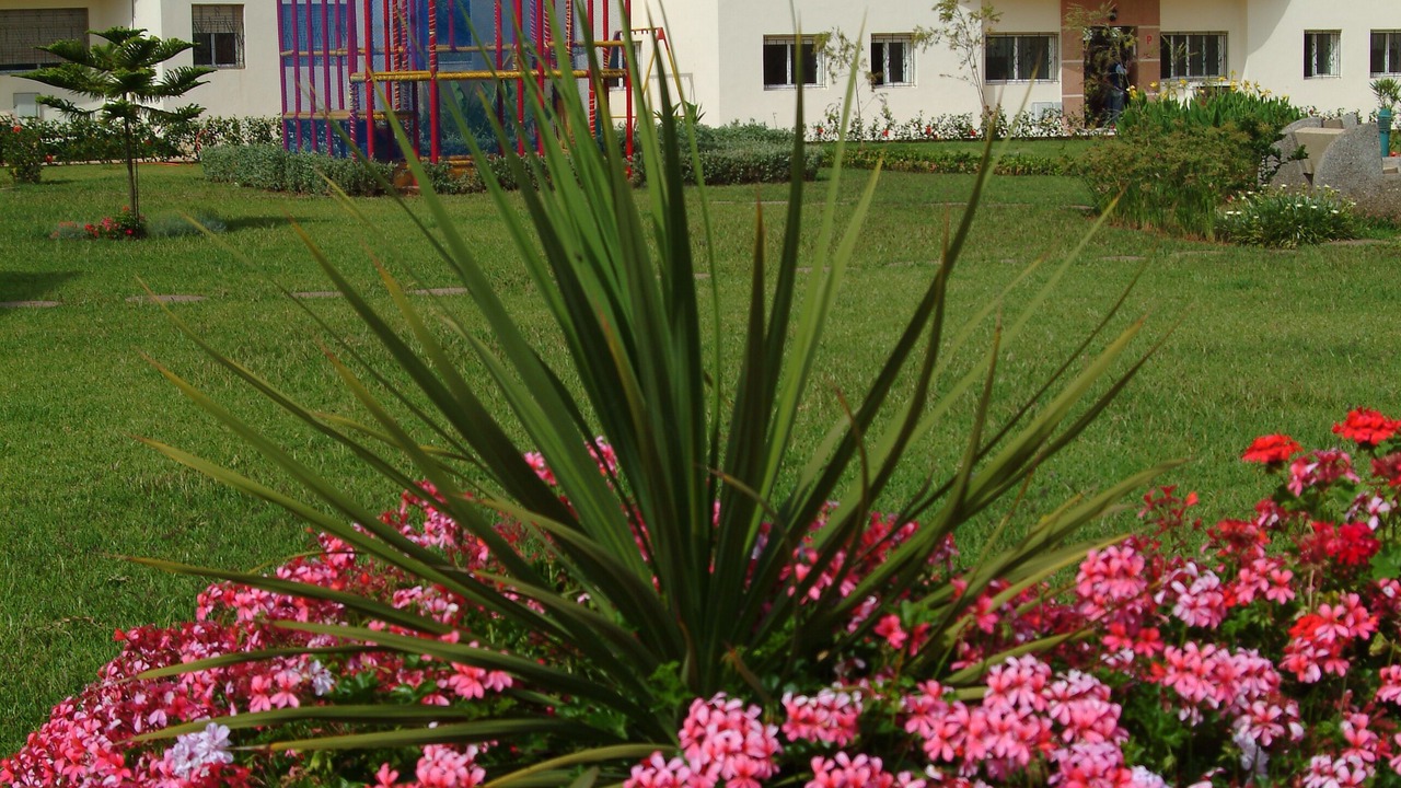 Photo of Outdoor in Pont Blondin