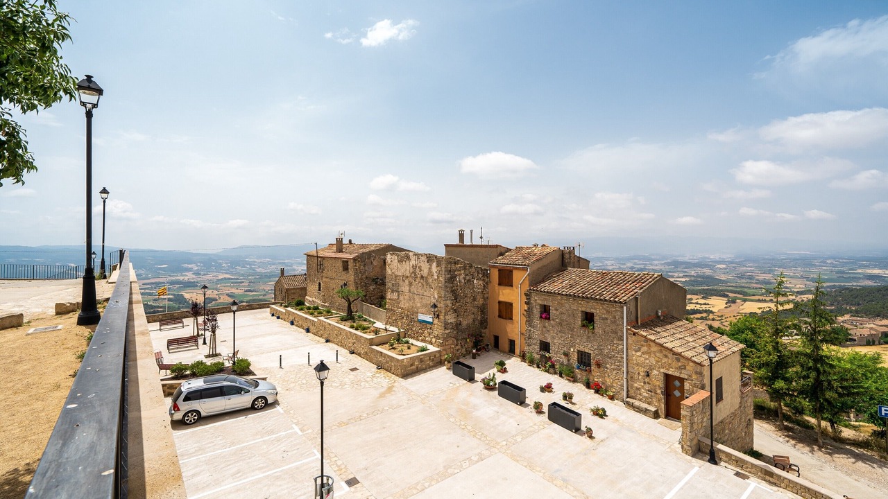 Photo of Outdoor in Fores