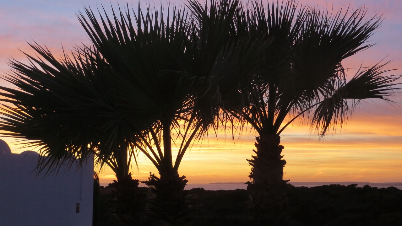 Photo of Others in Ferragudo