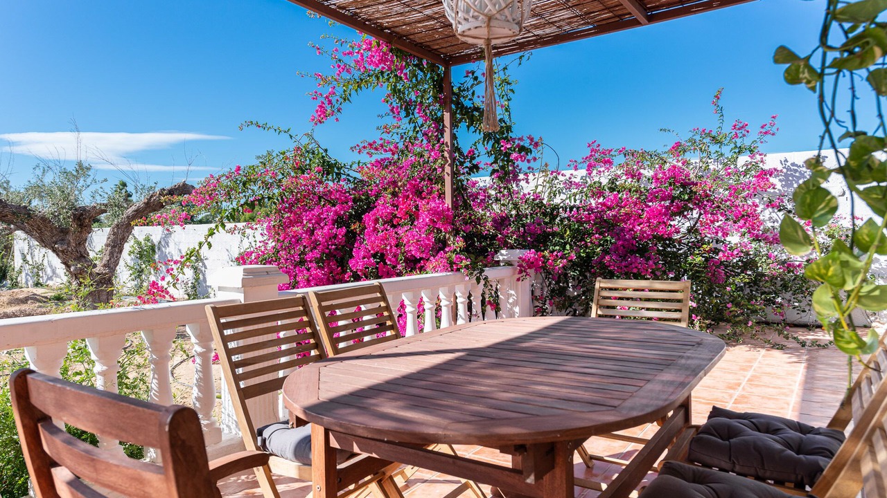 Photo of Outdoor in Muchamiel