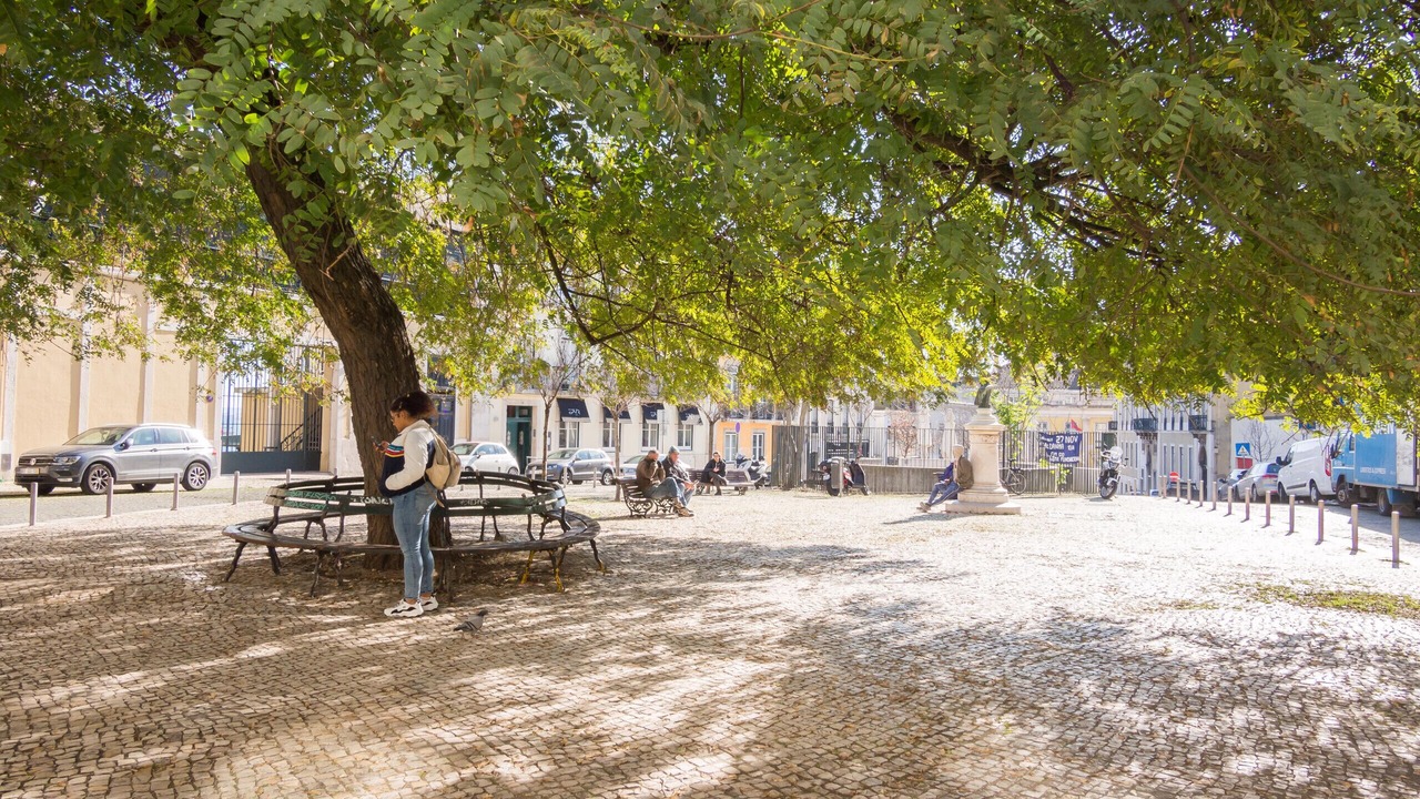 Photo of Others in Chiado