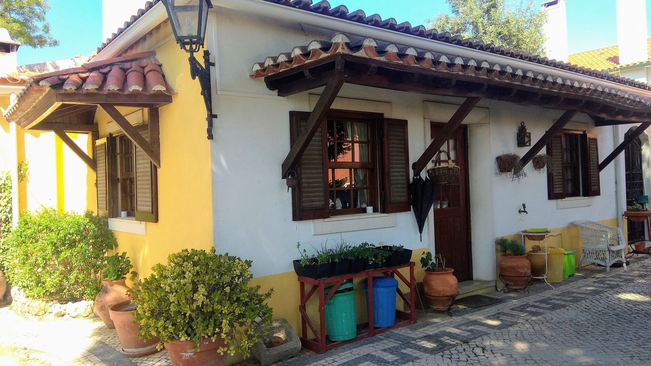 Photo of Outdoor in Torres Novas