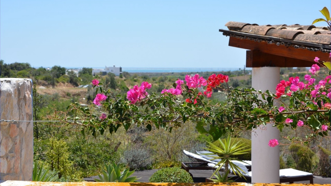 Photo of Outdoor in Quelfes
