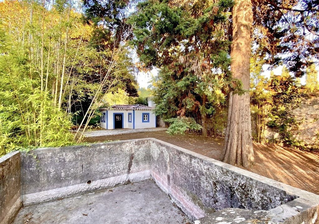 Photo of Outdoor in Banzao