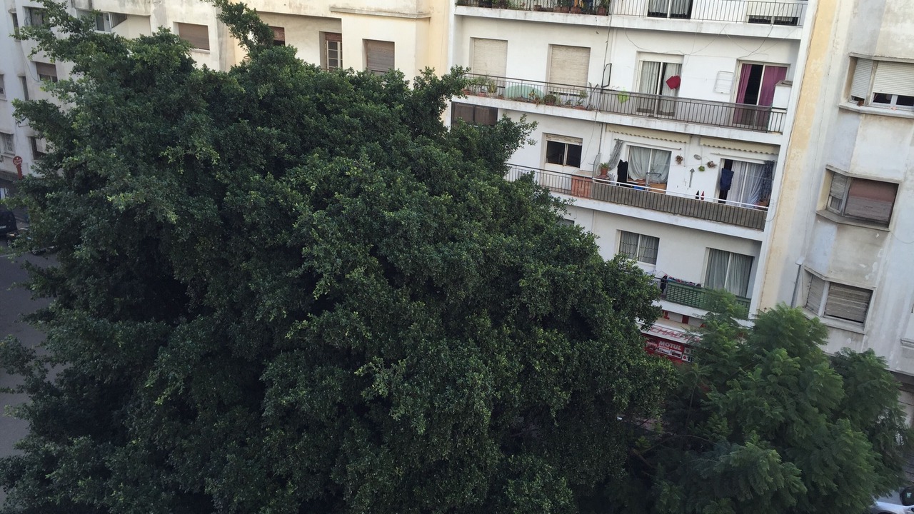 Photo of Outdoor in LA GIRONDE