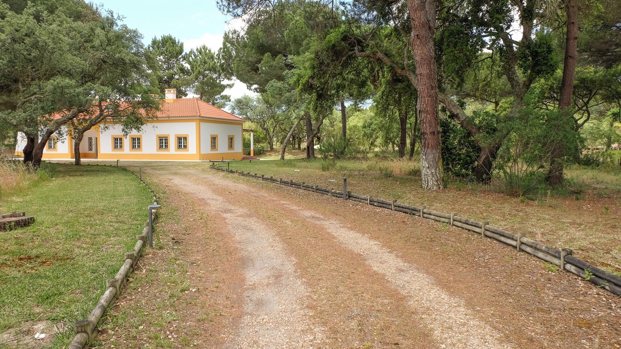 Photo of Others in Santa Maria do Castelo
