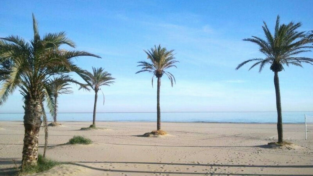 Photo of Others in Daimuz