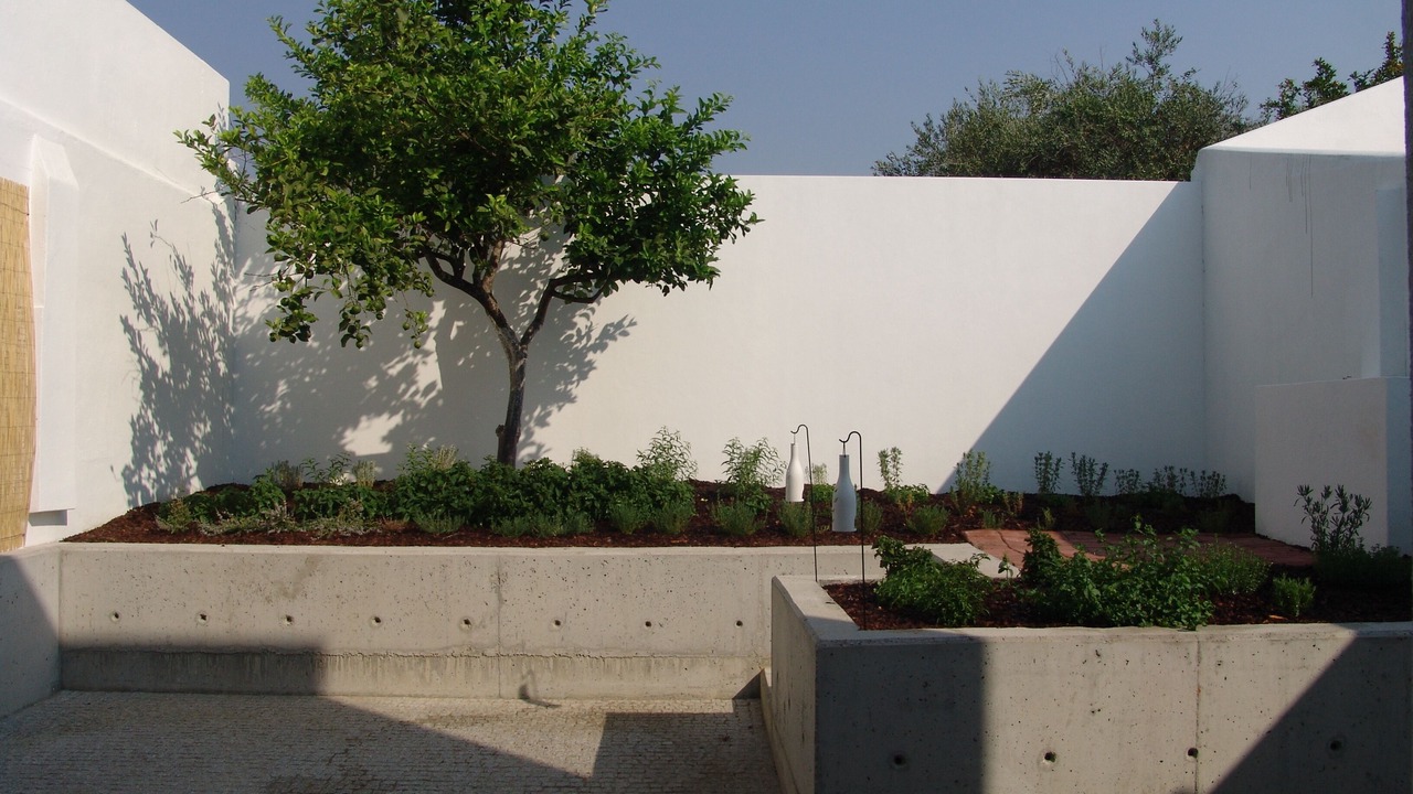 Photo of Outdoor in Evora