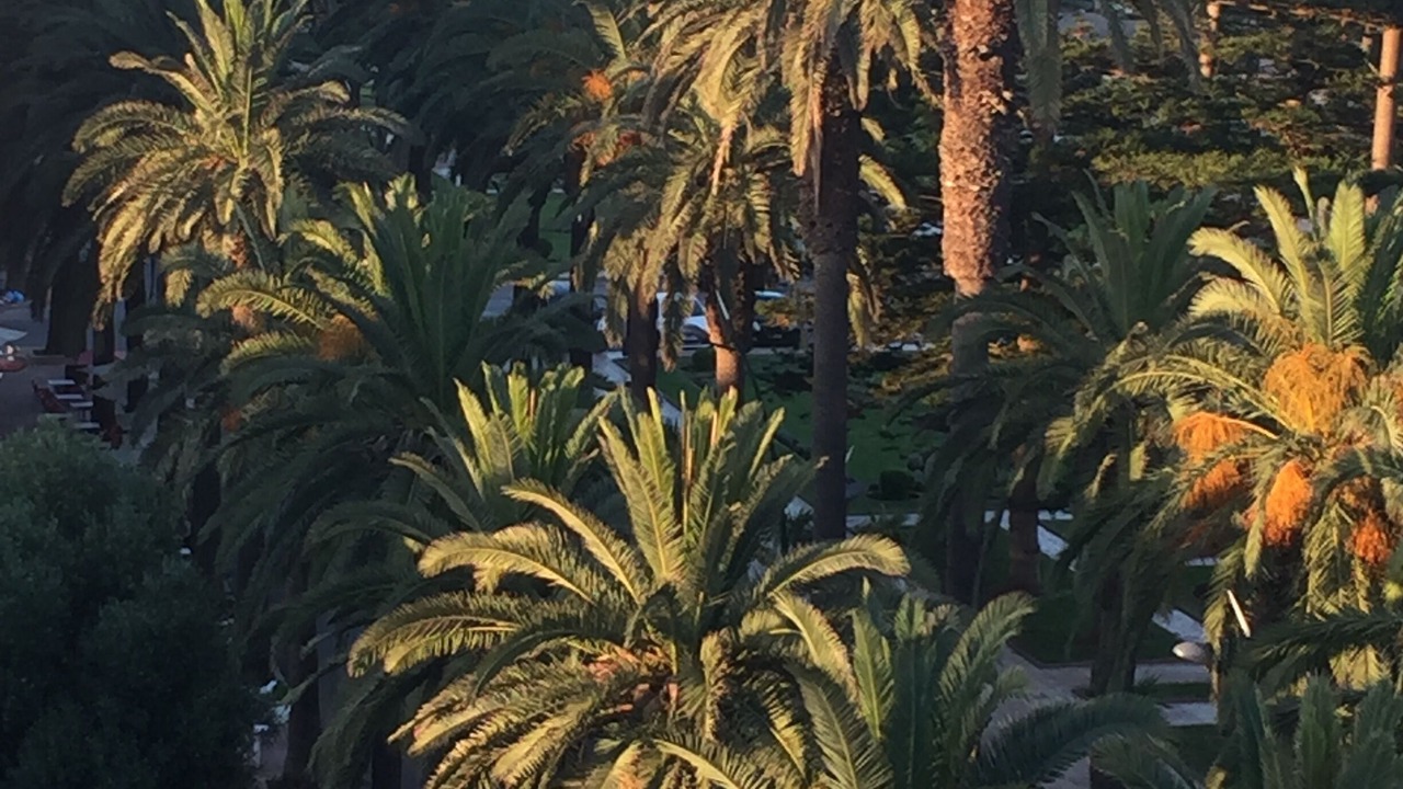 Photo of Outdoor in Mohammedia